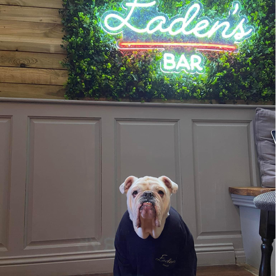 eadens-bar-bruno-bar-mascot